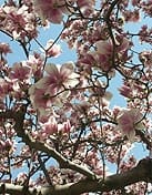 Rockhill Manor Assisted Living