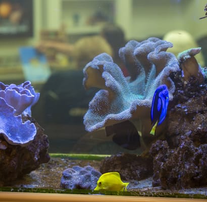 McKnight Place Extended Care