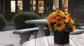 Bedford Care Center – Monroe Hall