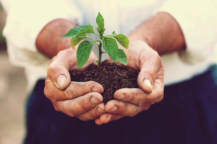 Bedford Care Center of Mendenhall