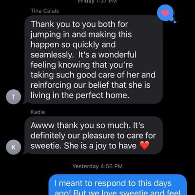 Dolan Memory Care at Calais