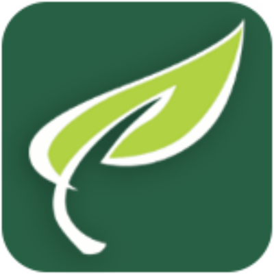 Pine Forest Health and Rehabilitation