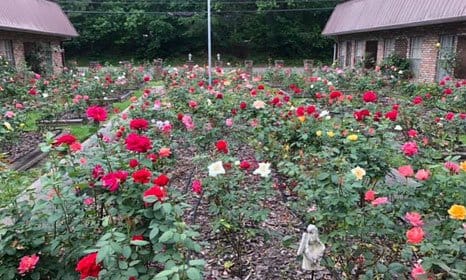 Northview Villa Personal Care