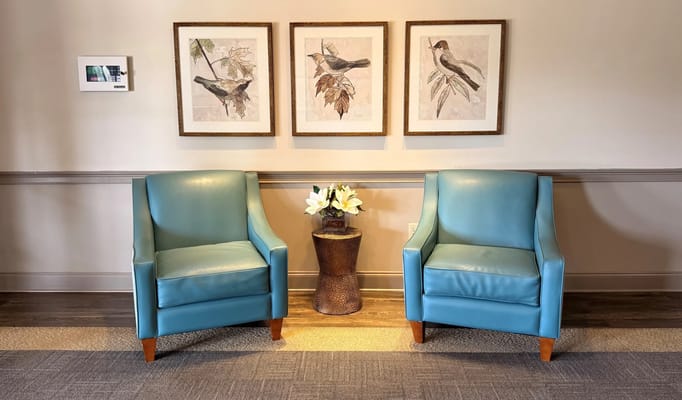 Cozy seating area with blue chairs and bird artwork