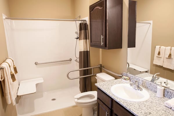 Accessible bathroom with grab bars and top finishes