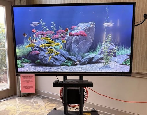 The Aspen of Brookhaven