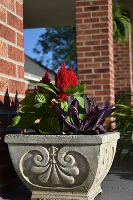 Caremoor Retirement Center