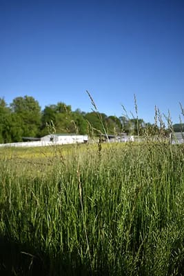 Caremoor Retirement Center