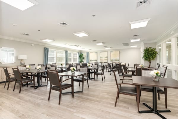 The Springs of Ballentine