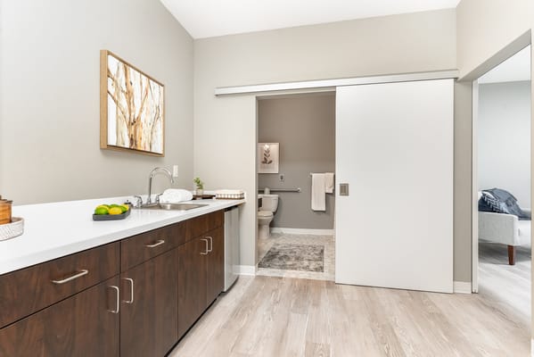 The Springs of Ballentine