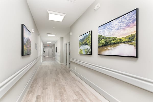 The Springs of Ballentine