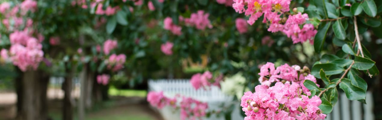 Sandy Ridge Assisted Living