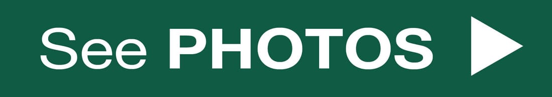 The Willows Assisted Living