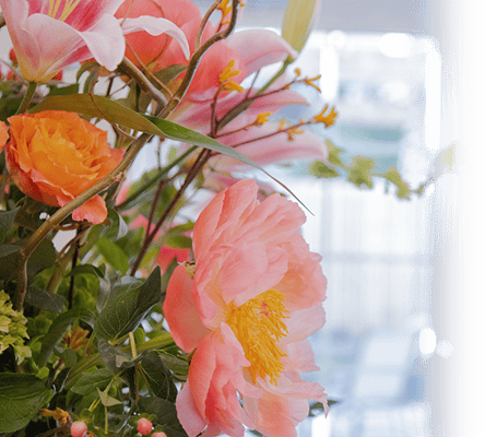 Calyx Living of Durham