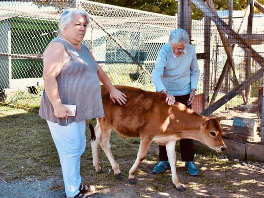 Sunapee Cove Assisted Living