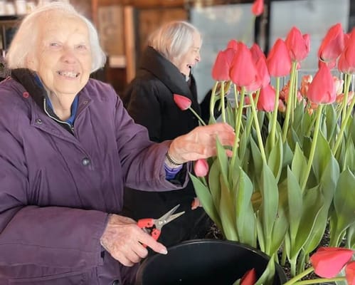 Spring Village at Summerhill