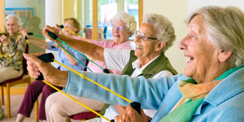 The Care Factory Inc