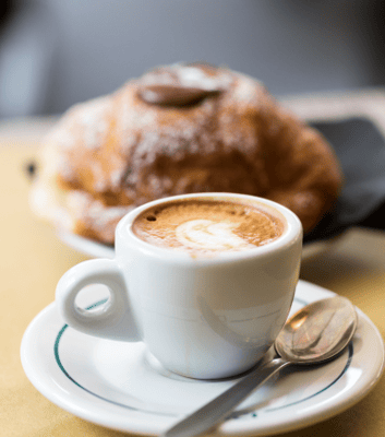 The Village At Meadowbrook