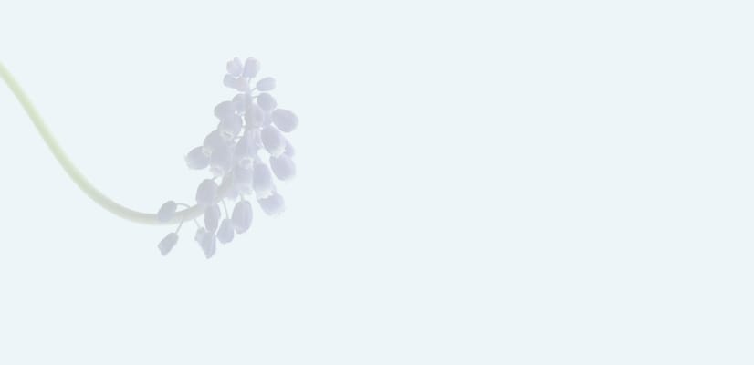 Garden Terrace Nursing Home