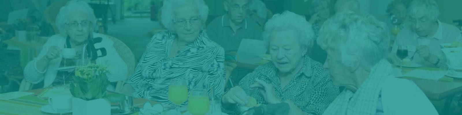 Senior Spirit Of Roselle Park