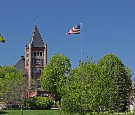 Brookdale Spruce Wood