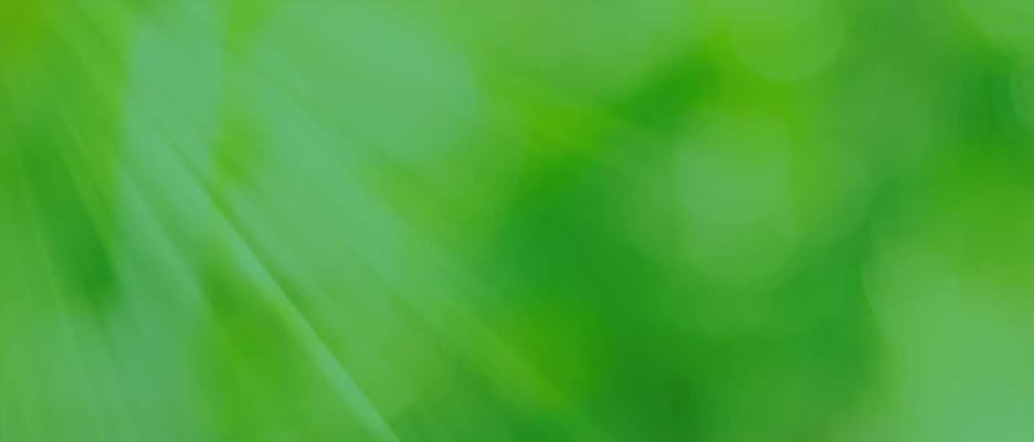 Gowanda Rehabilitation & Nursing Center