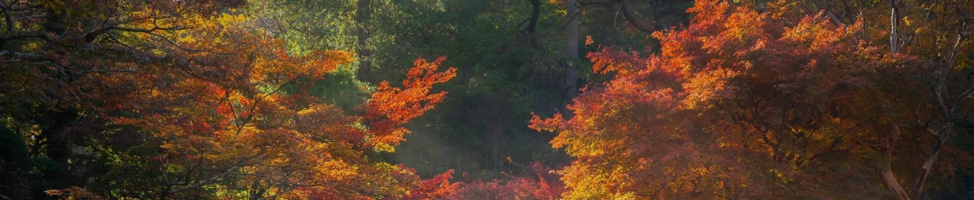 Fairborn Assisted Living