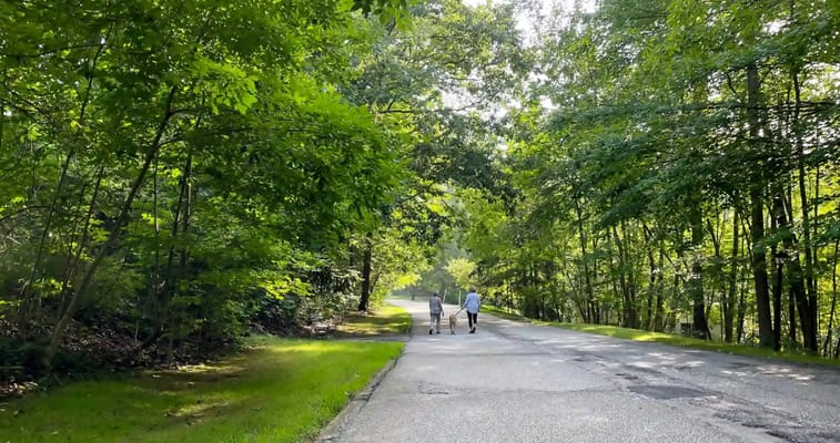 Hamlet at Chagrin Falls