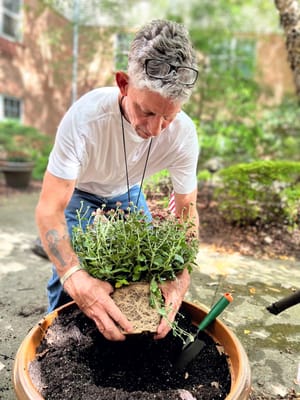 The Winfield at Middletown