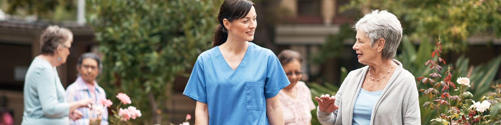 Traditions of Deerfield