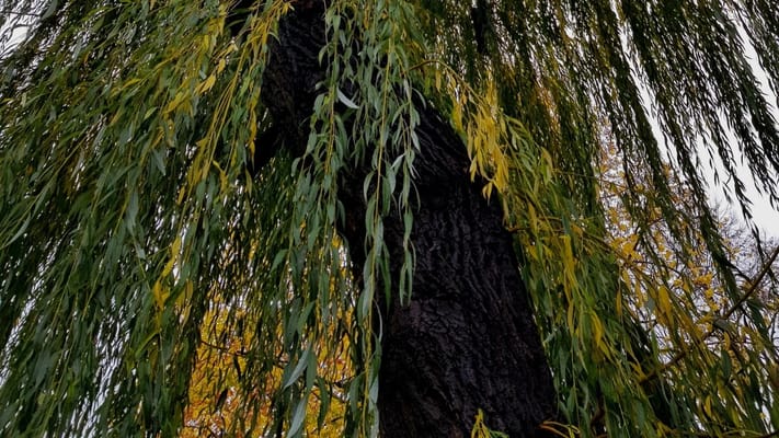 Fairborn Assisted Living