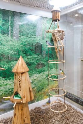 Cortlandt Healthcare