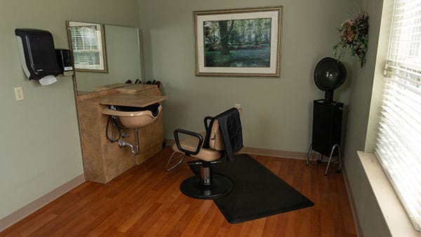Salon chair in a private grooming area