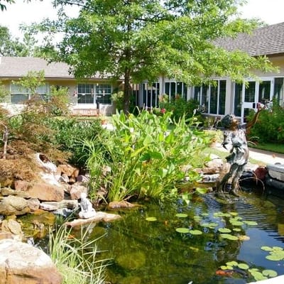 Beautiful garden area with a pond and greenery