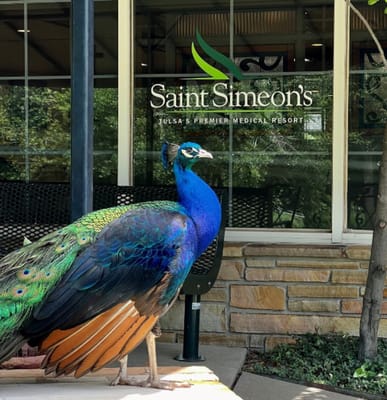 A peacock outside the facility entrance