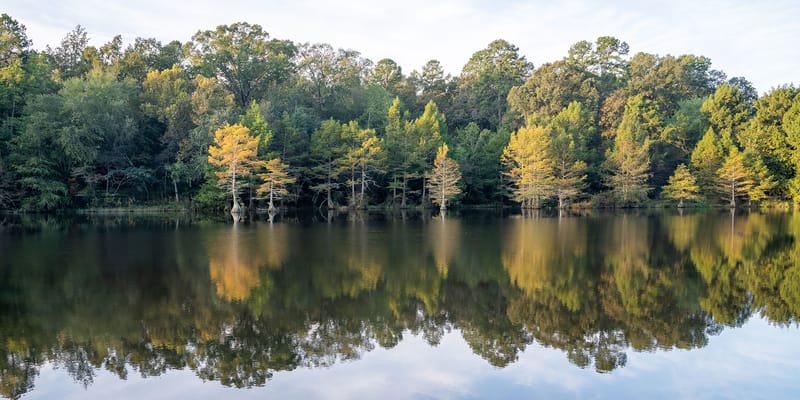The Suites at Elmbrook, Inc