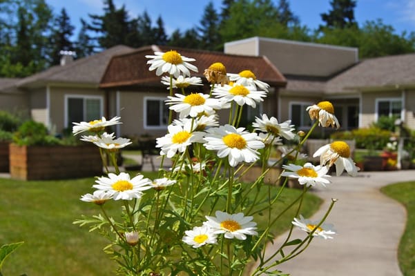 Avalon Care Center – Portland