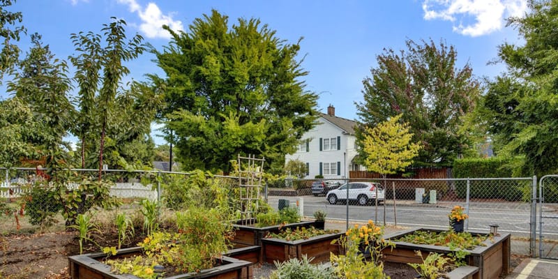 Timberline Post Acute