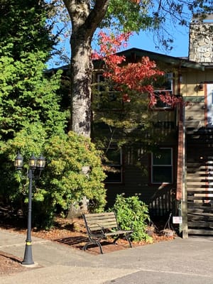 Elite Care Adams – Hood