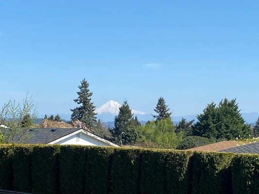 Elite Care Adams – Hood