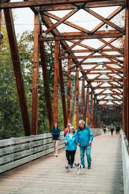 Residents walking on a wooden bridge with dogs