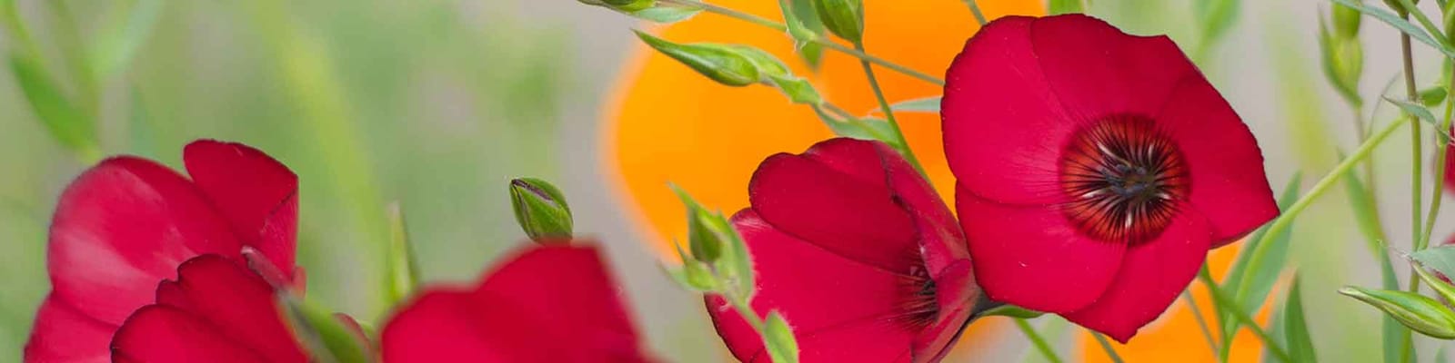 Friendsview Retirement Community