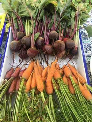 Elite Care Adams – Hood