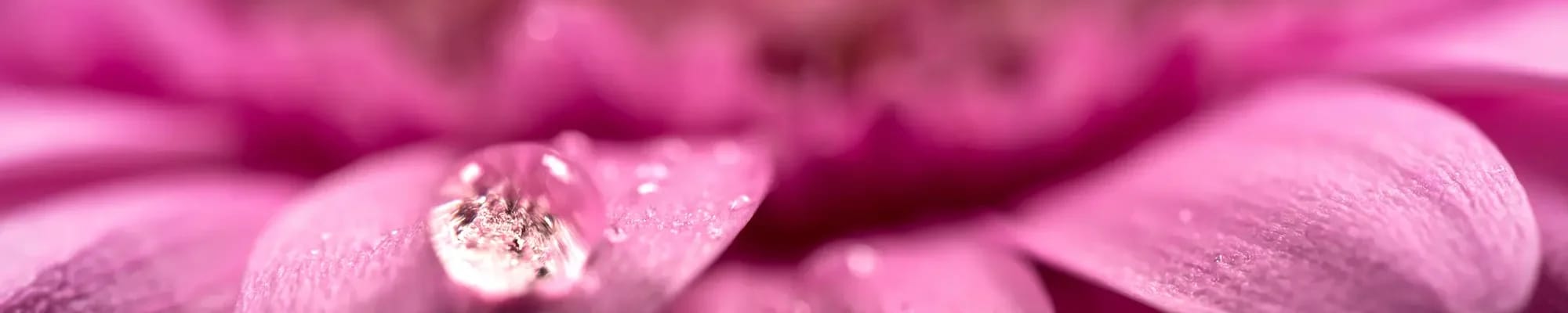 Chapters Living of Tulsa