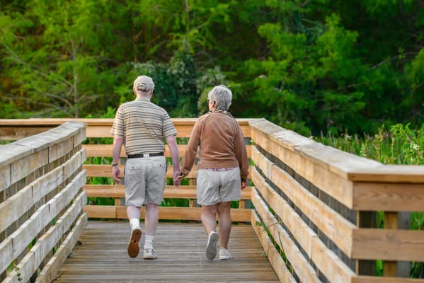 Two residents walking on a wooden bridge in a garden