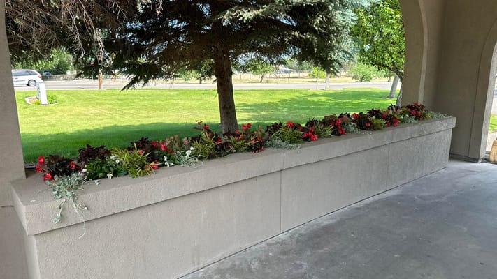 Wellsprings Assisted Living Facility