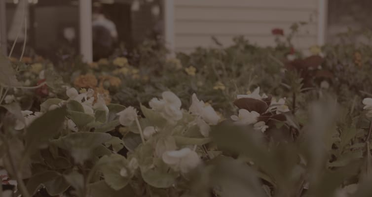 Jennings Mccall Center