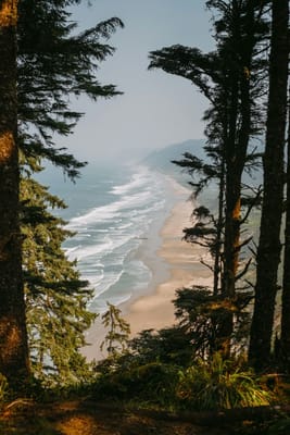 Spruce Point Assisted Living