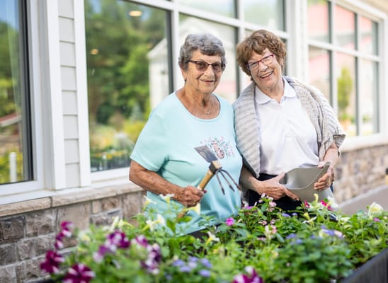 The Village at Lifequest
