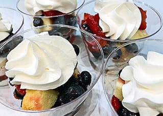 Chandler Hall Health Services, Inc. – Hicks